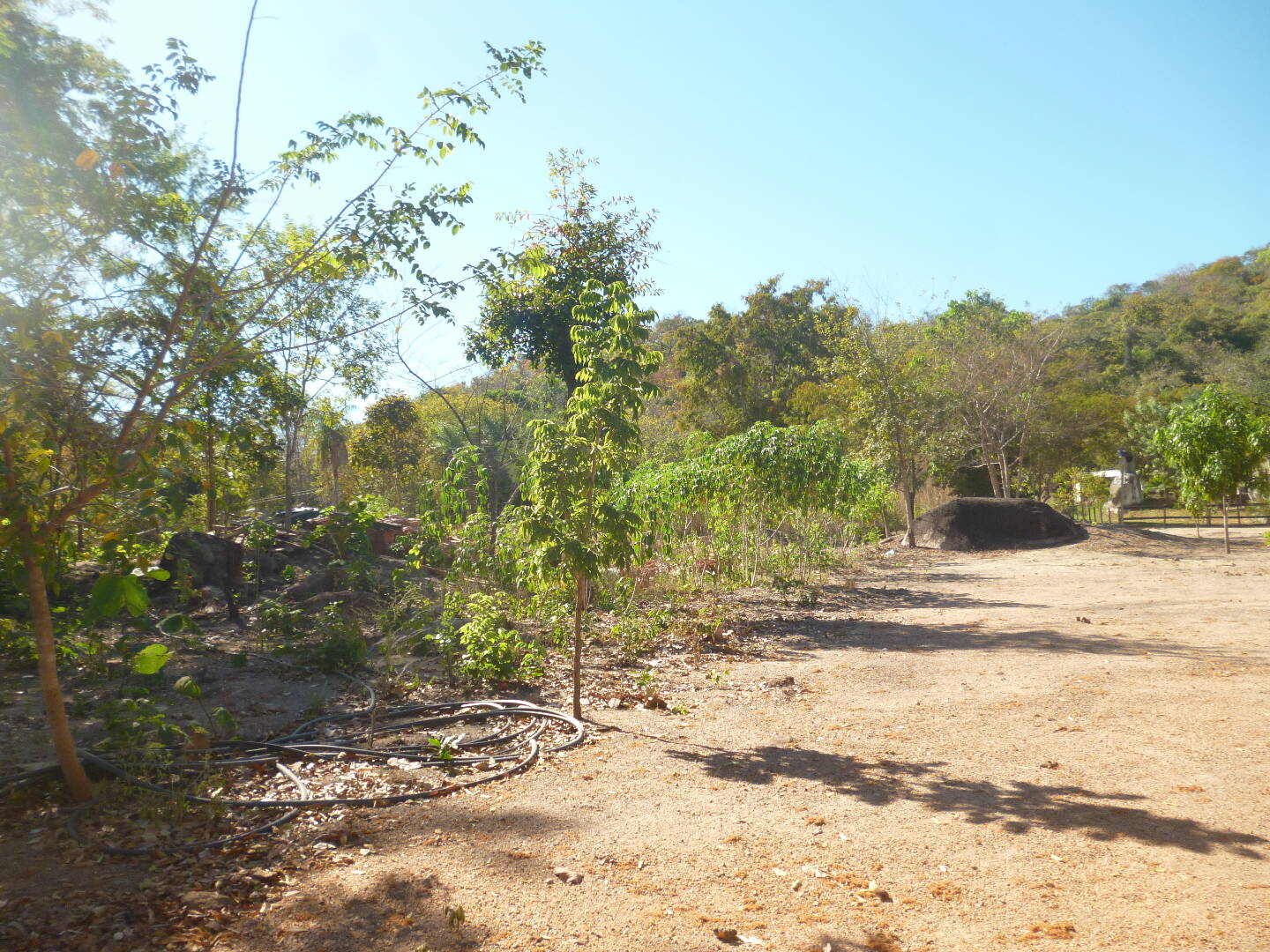 Fazenda à venda - Foto 3