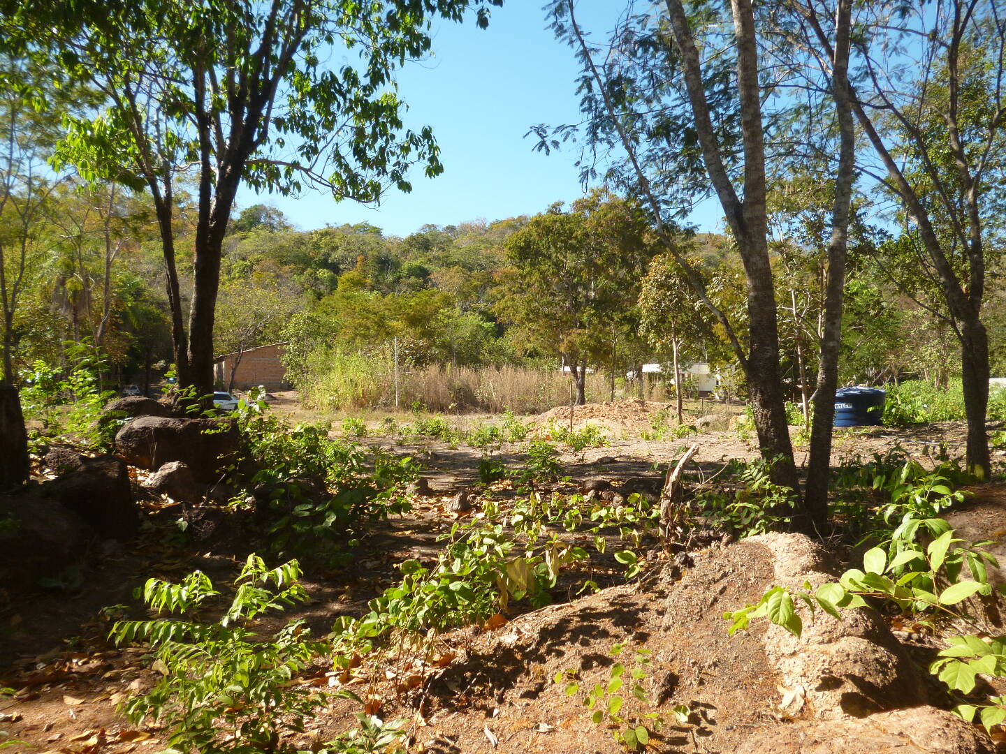 Fazenda à venda - Foto 4