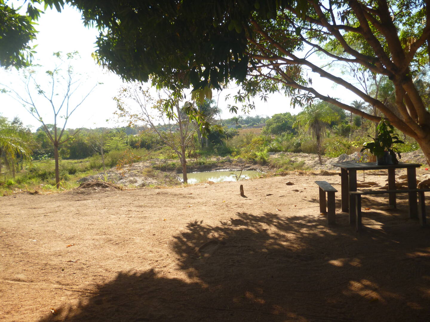 Fazenda-Sítio-Chácara, 6 hectares - Foto 1